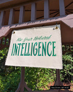 Use Your Natural Intelligence Flag