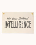 Use Your Natural Intelligence Flag