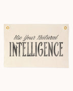 Use Your Natural Intelligence Flag