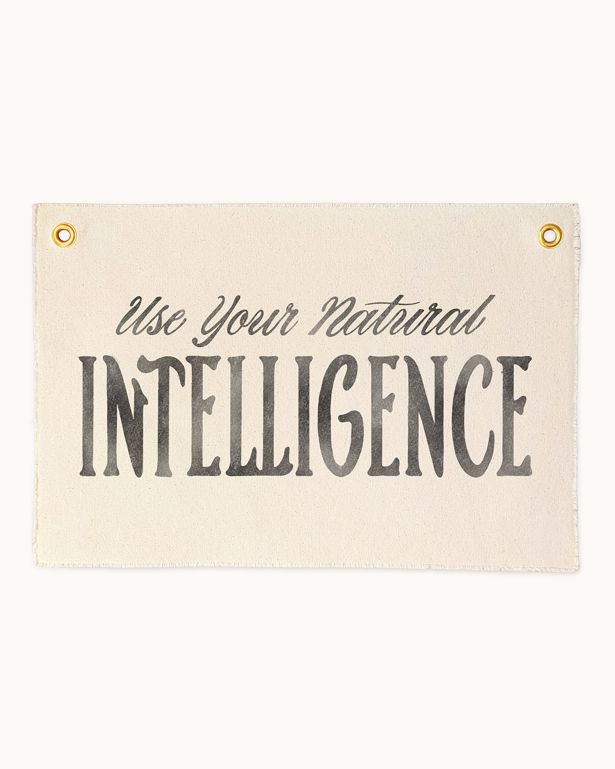 Use Your Natural Intelligence Flag